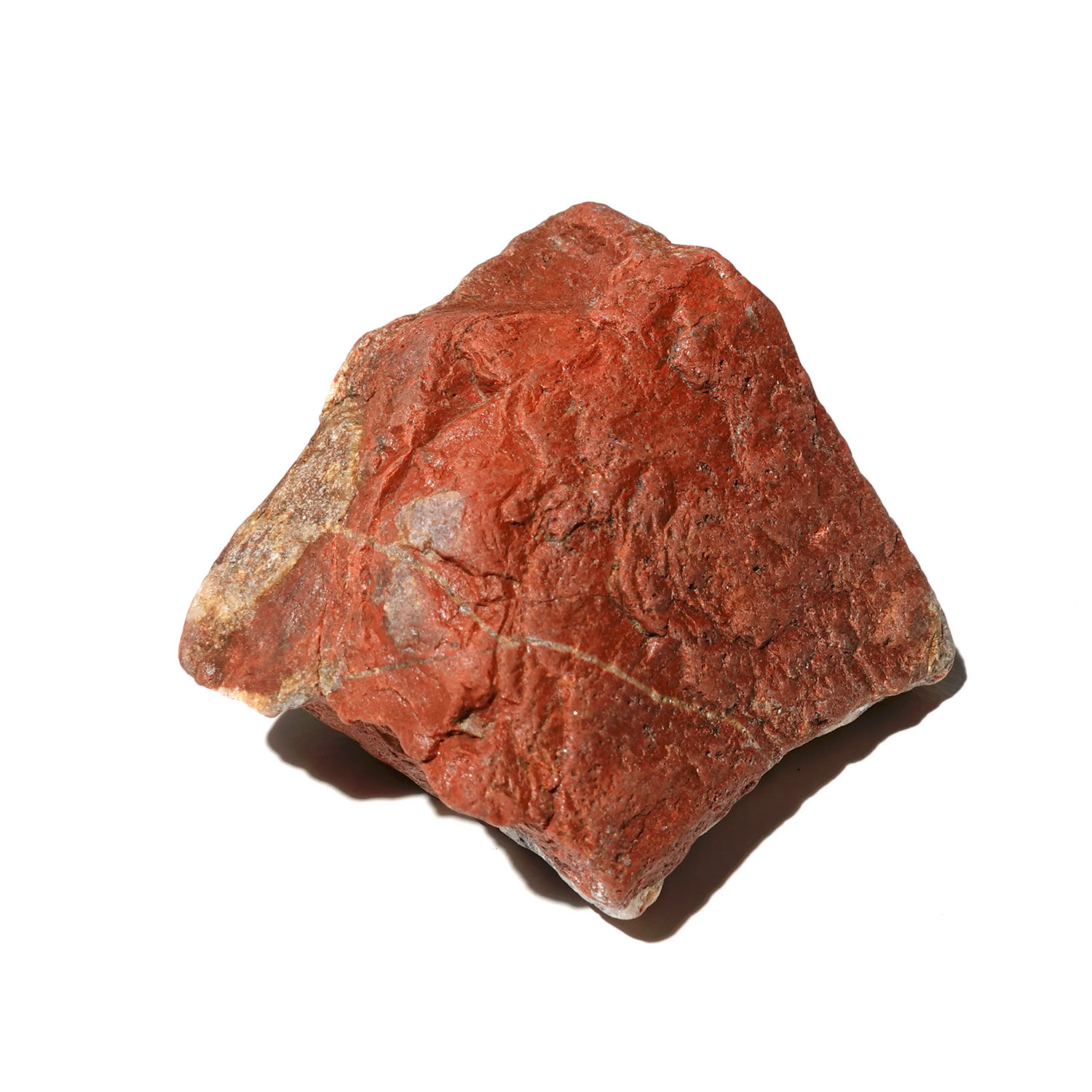 紅火阿賽斯特萊 (38g-242-1)