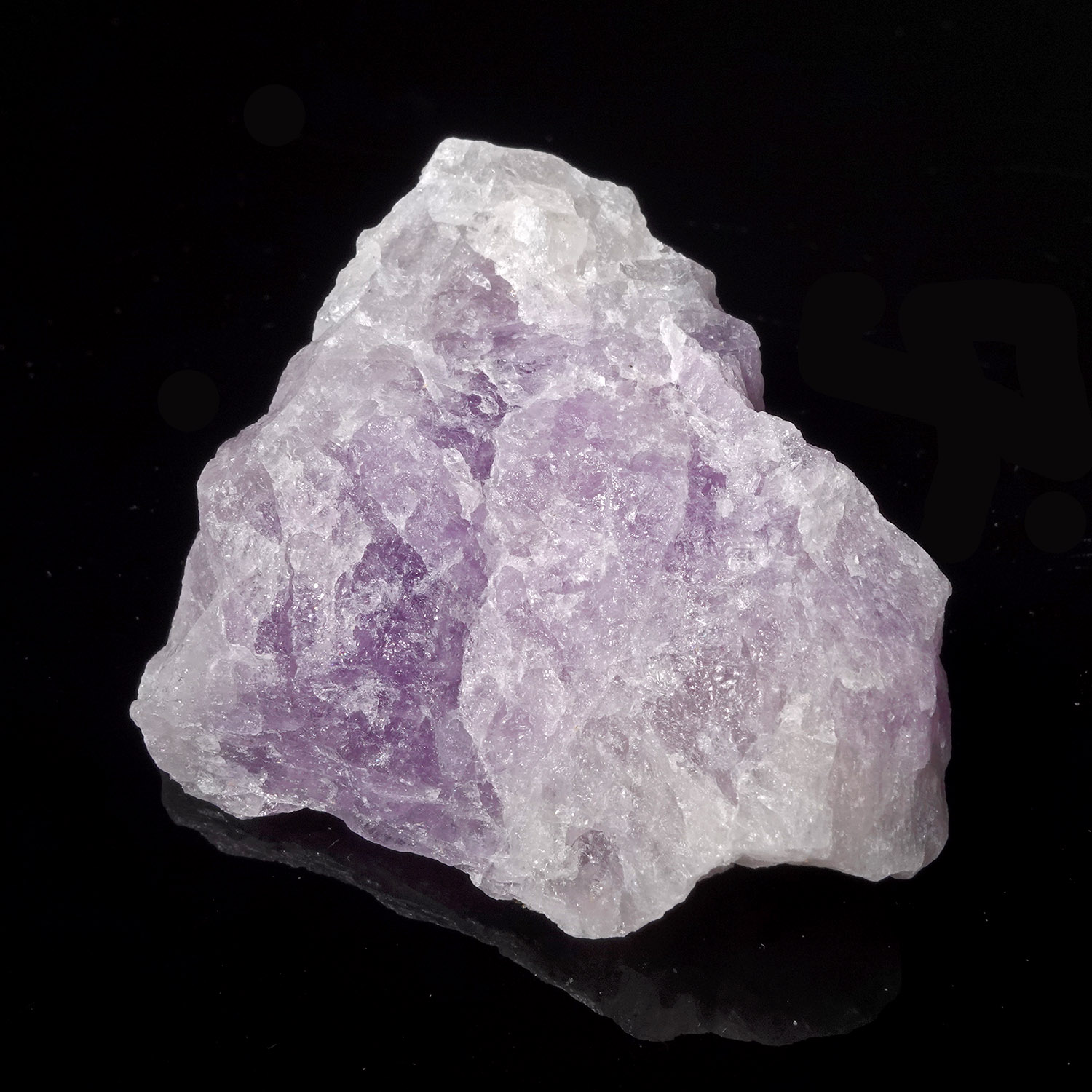 Amazez 阿賽斯特萊 (43g-249-16)