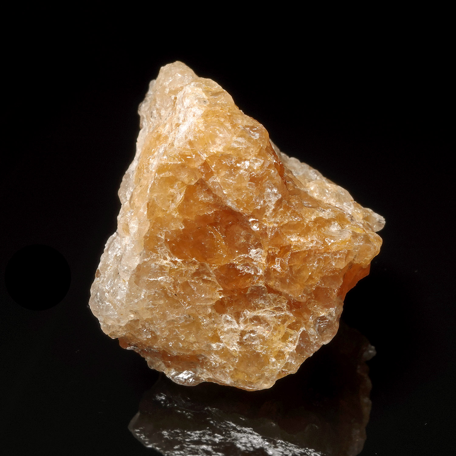 喜馬拉雅黃金阿賽斯特萊 (37g-24b-13)