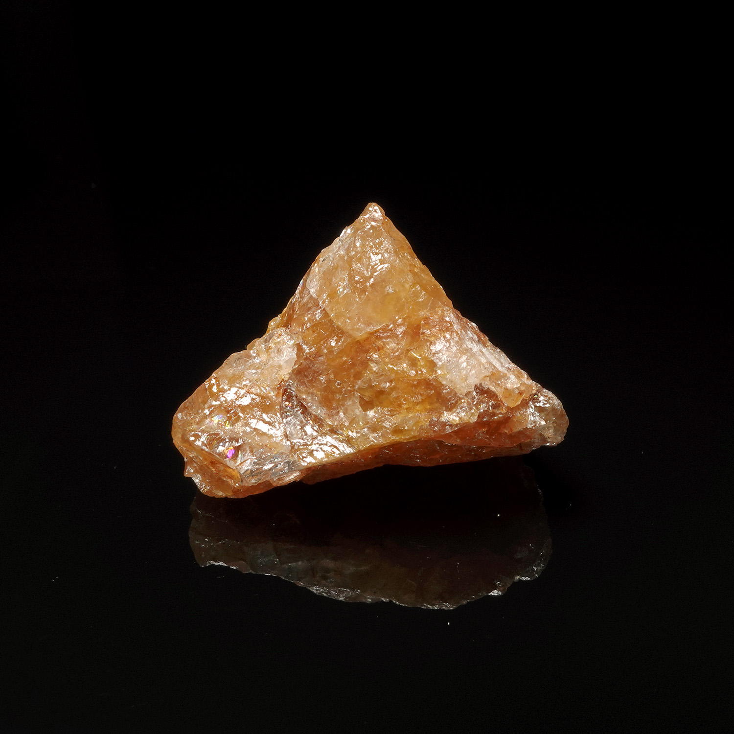 喜馬拉雅紅金阿賽斯特萊 (11g-24b-1)