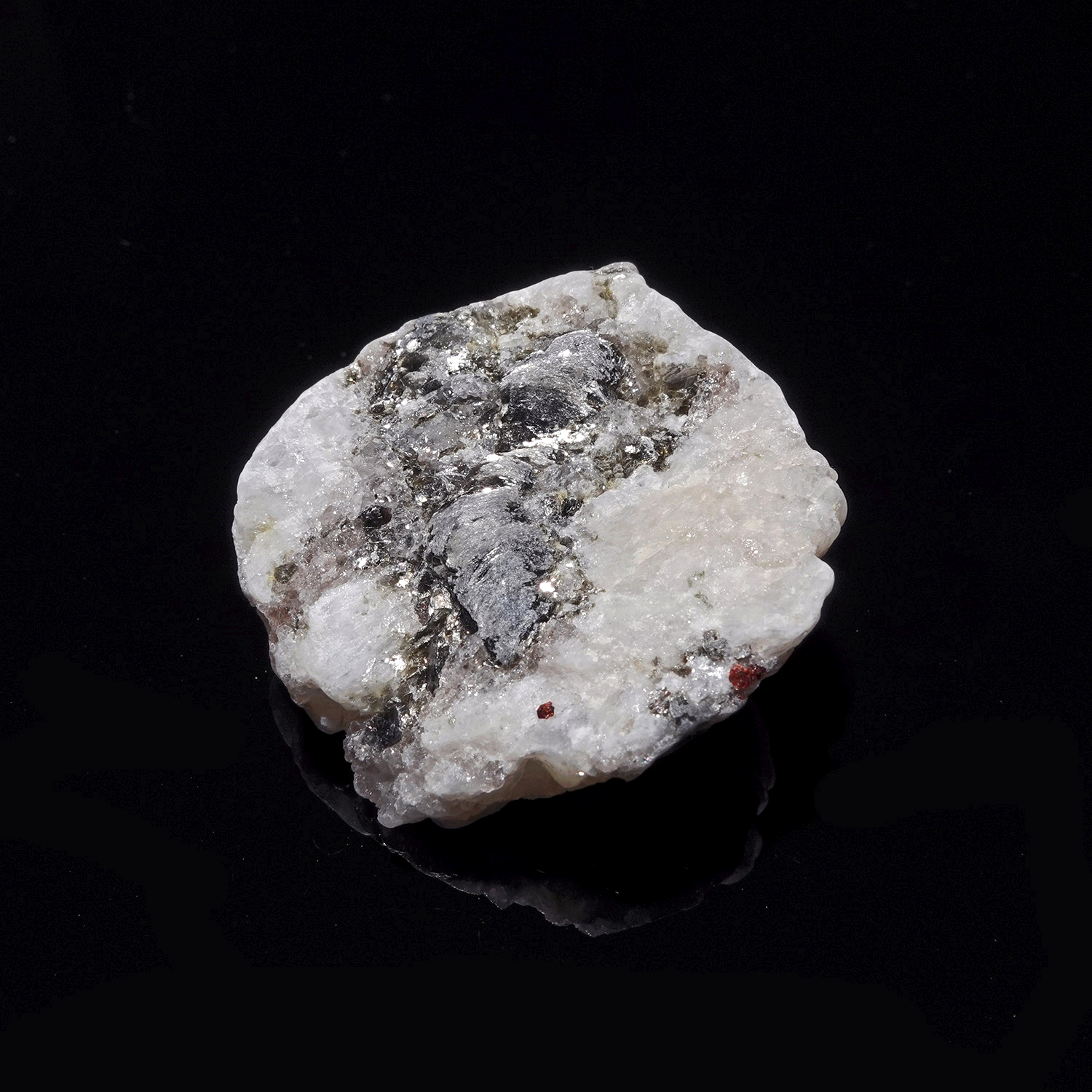 沙之玫瑰阿賽斯特萊 (20g-24c-5)