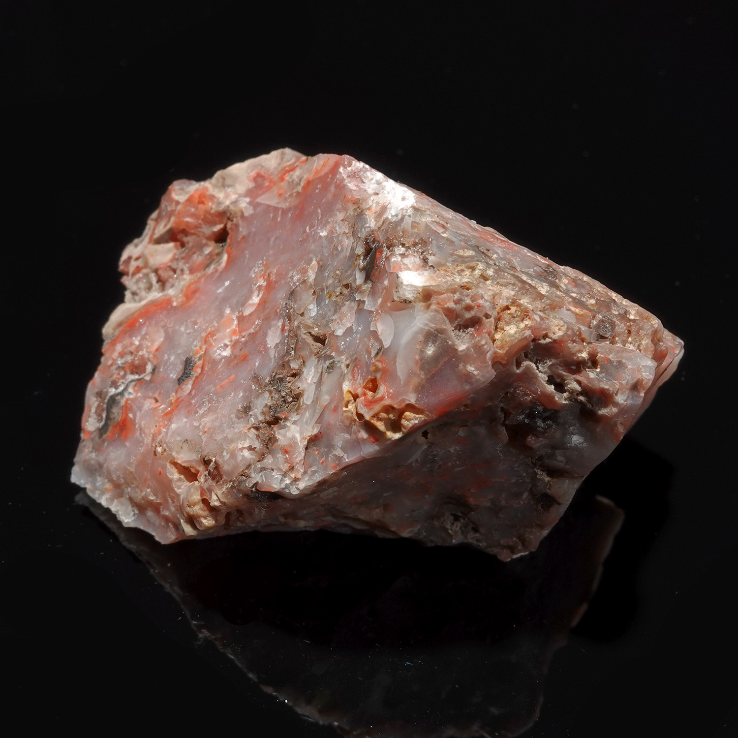 Cinnazez 阿賽斯特萊 (39g-251-13)