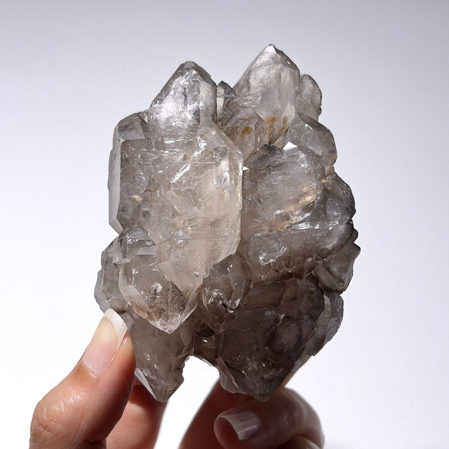 大師水晶 – 煙晶骨幹水晶 239g (256-3)