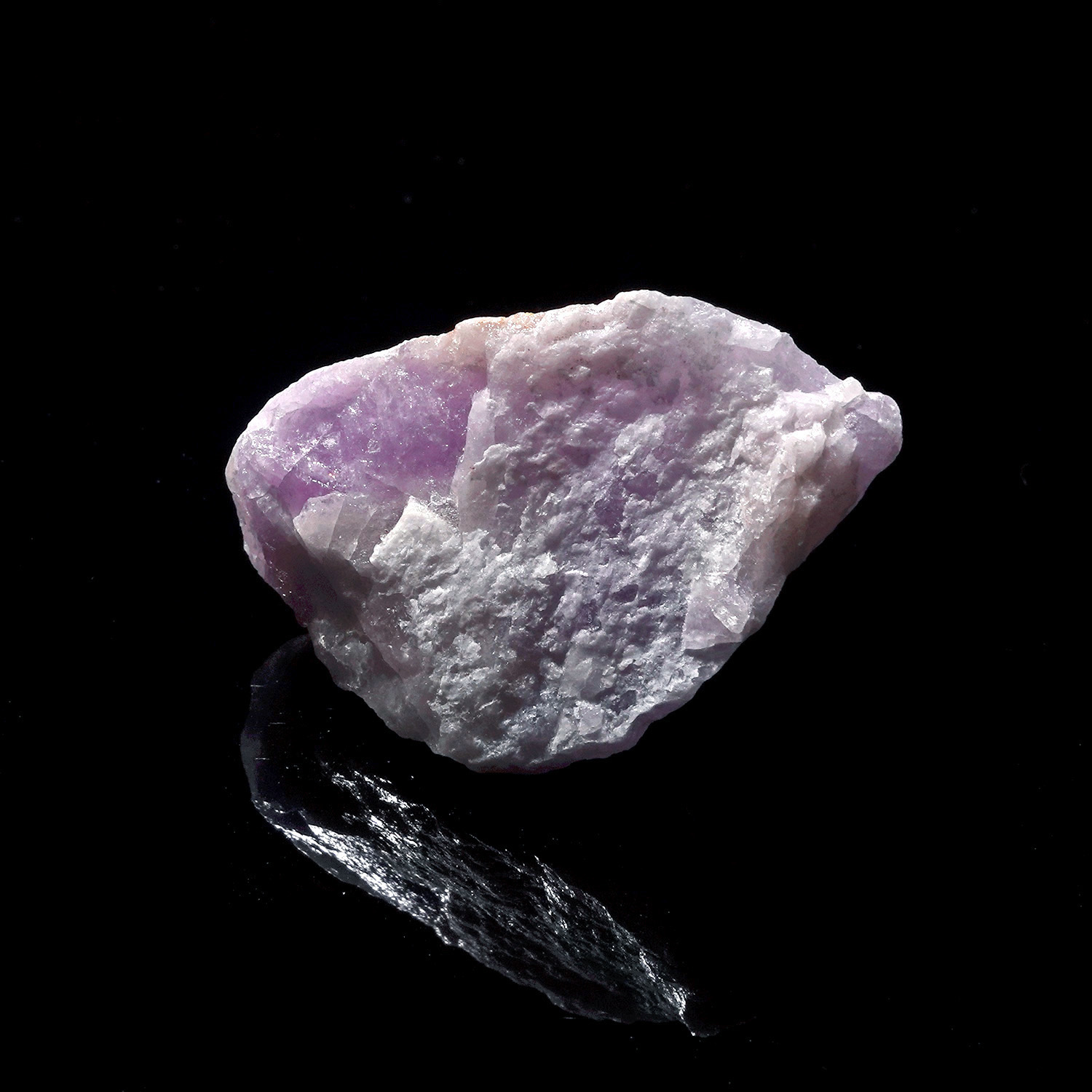 Amazez 阿賽斯特萊 (20g-257-1)
