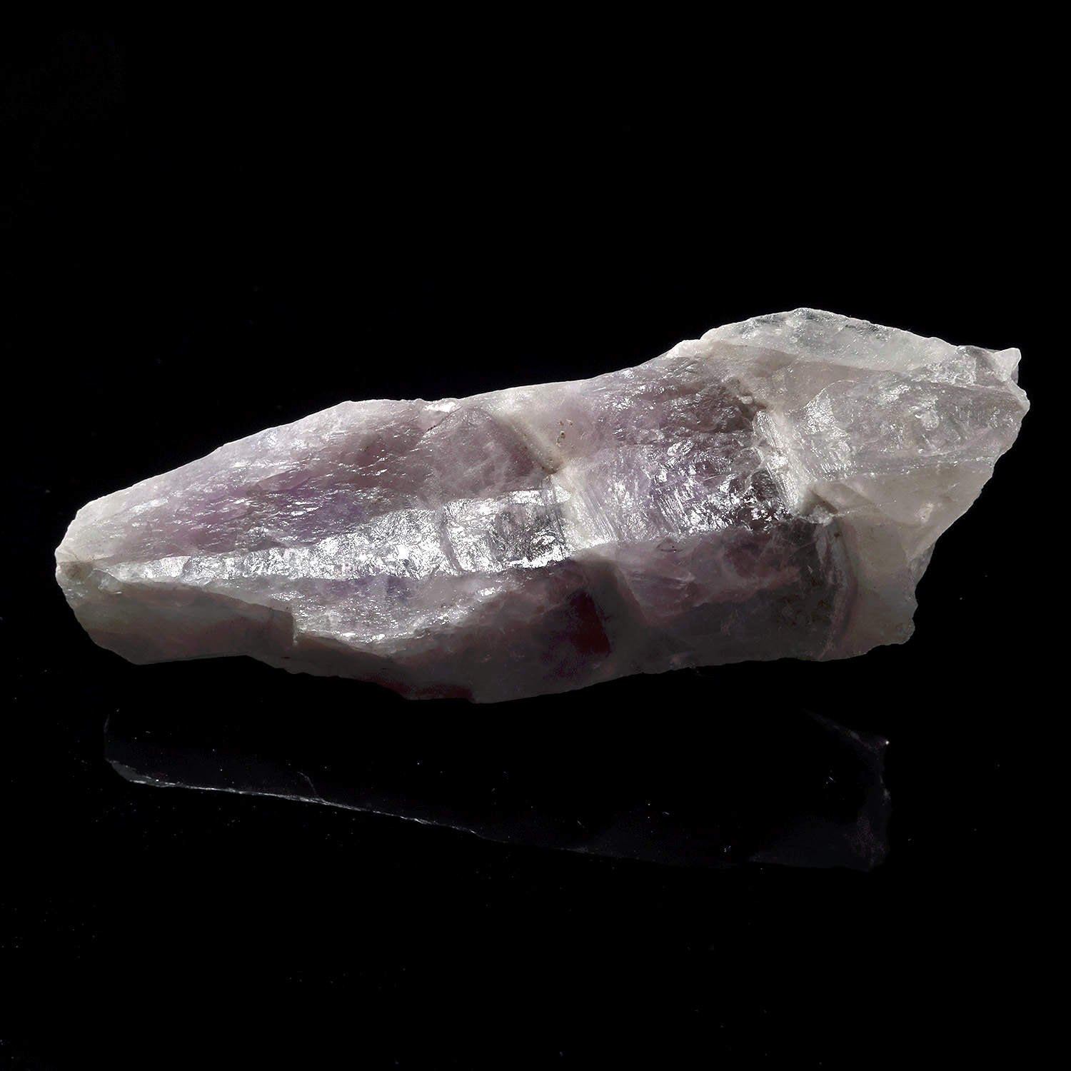 Amazez 阿賽斯特萊 (48g-257-13)