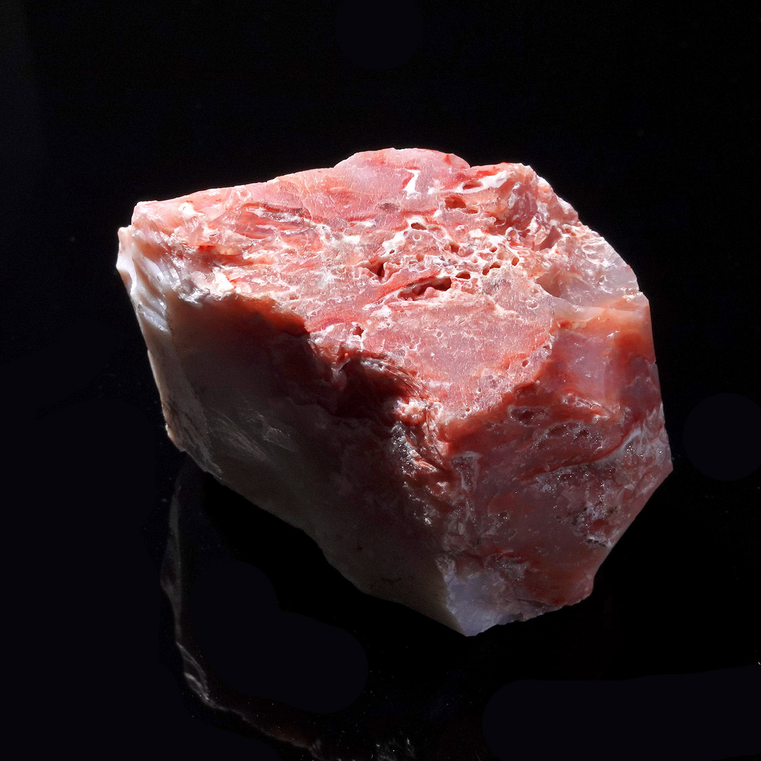 Cinnazez 阿賽斯特萊 (40g-259-10)