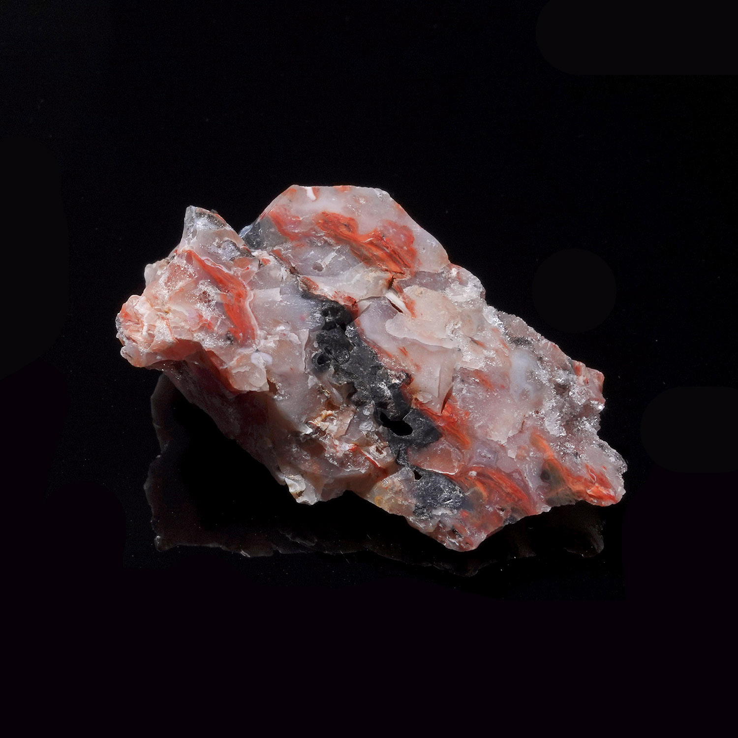 Cinnazez 阿賽斯特萊 (20g-259-3)