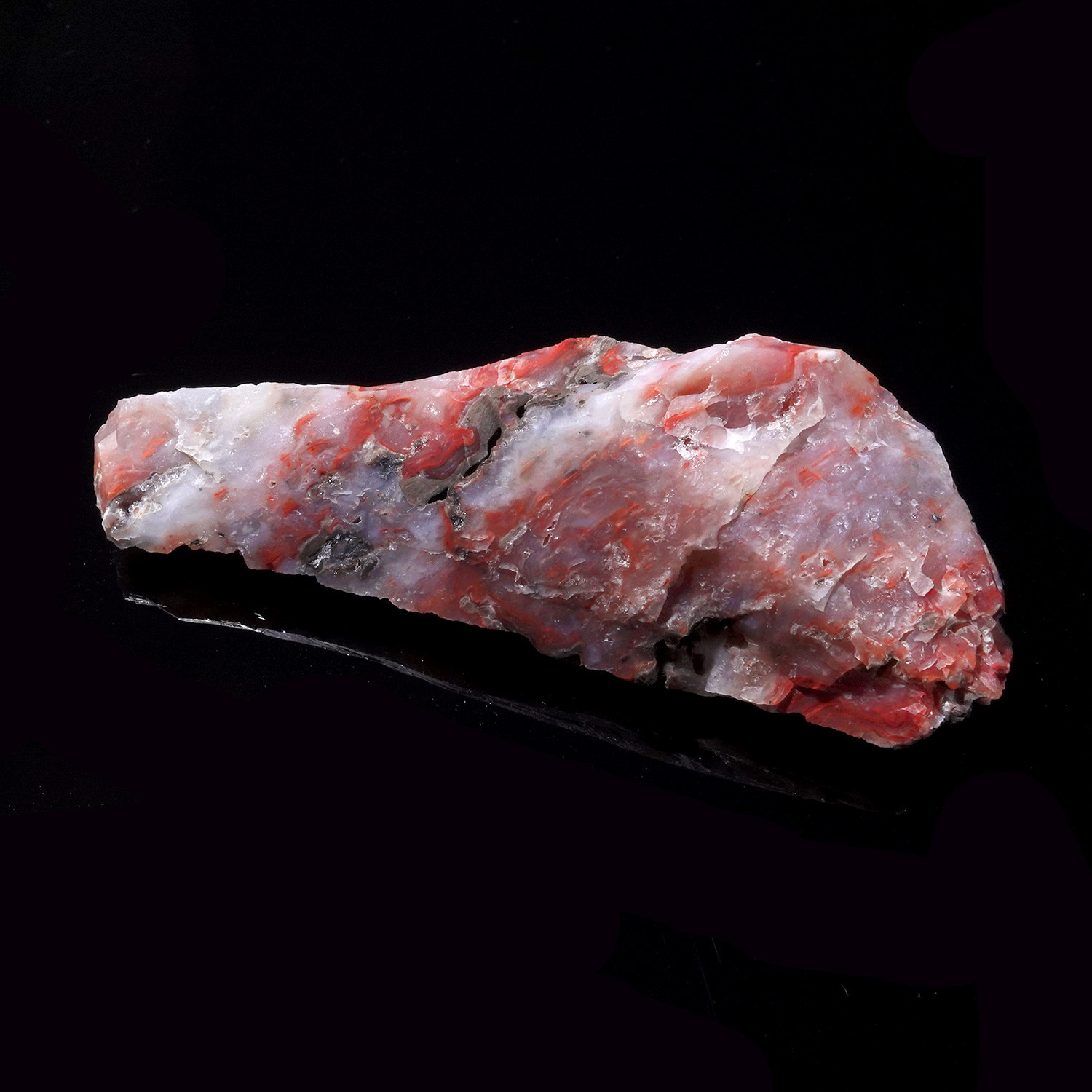 Cinnazez 阿賽斯特萊 (26g-259-6)