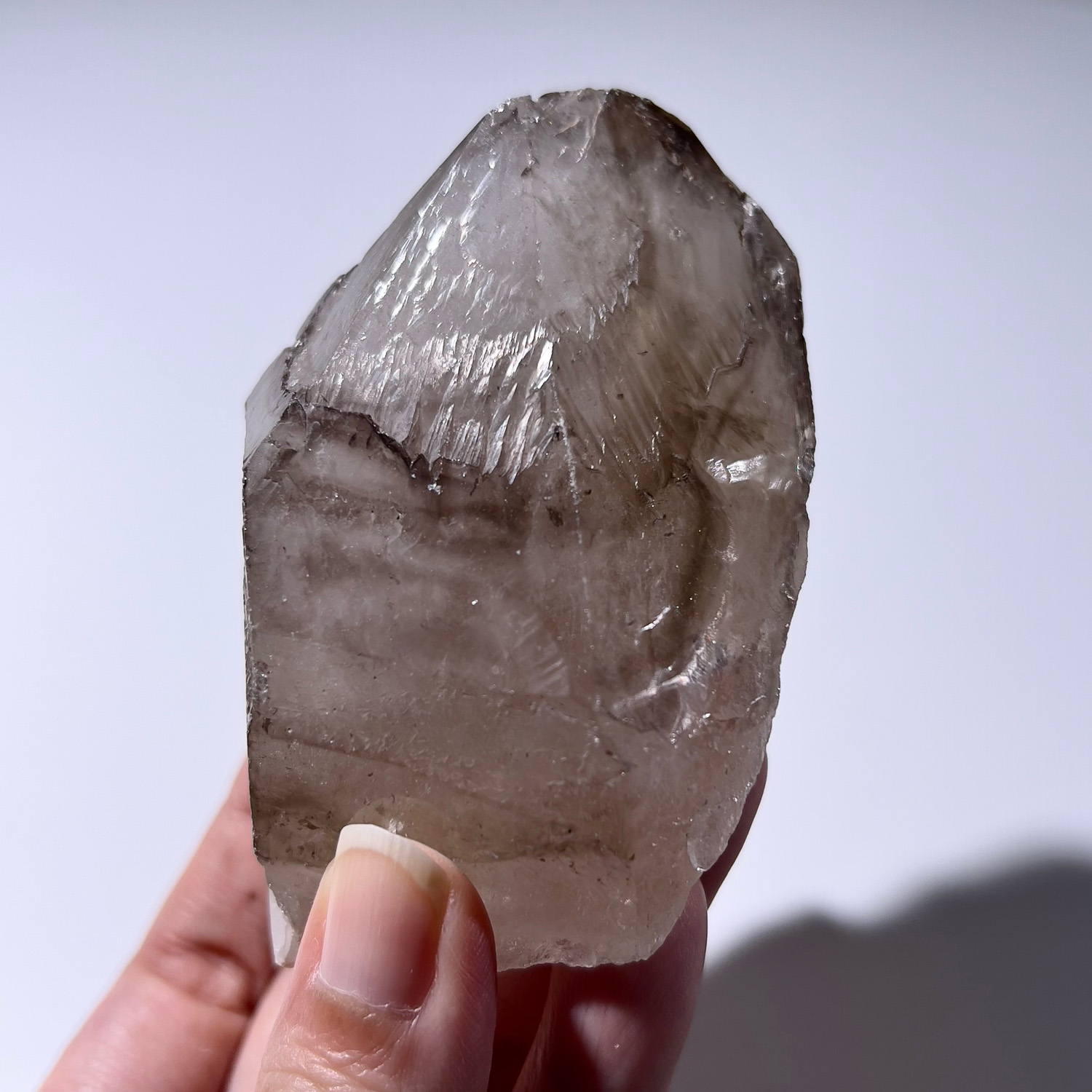 大師水晶 – 煙晶骸骨水晶 #資料庫水晶 219g (259-1)