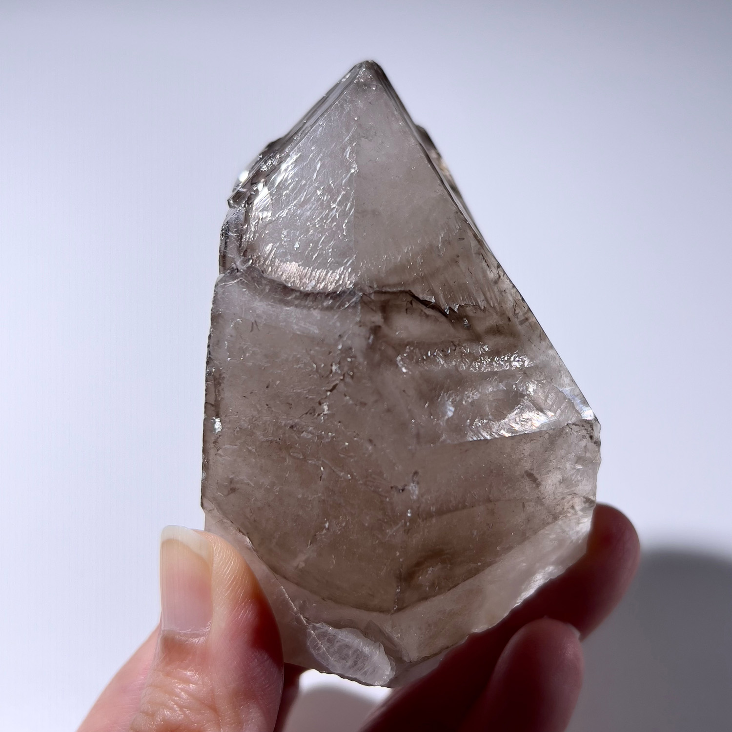 大師水晶 - 煙晶骸骨水晶 #資料庫水晶 219g (259-1) - Image 2