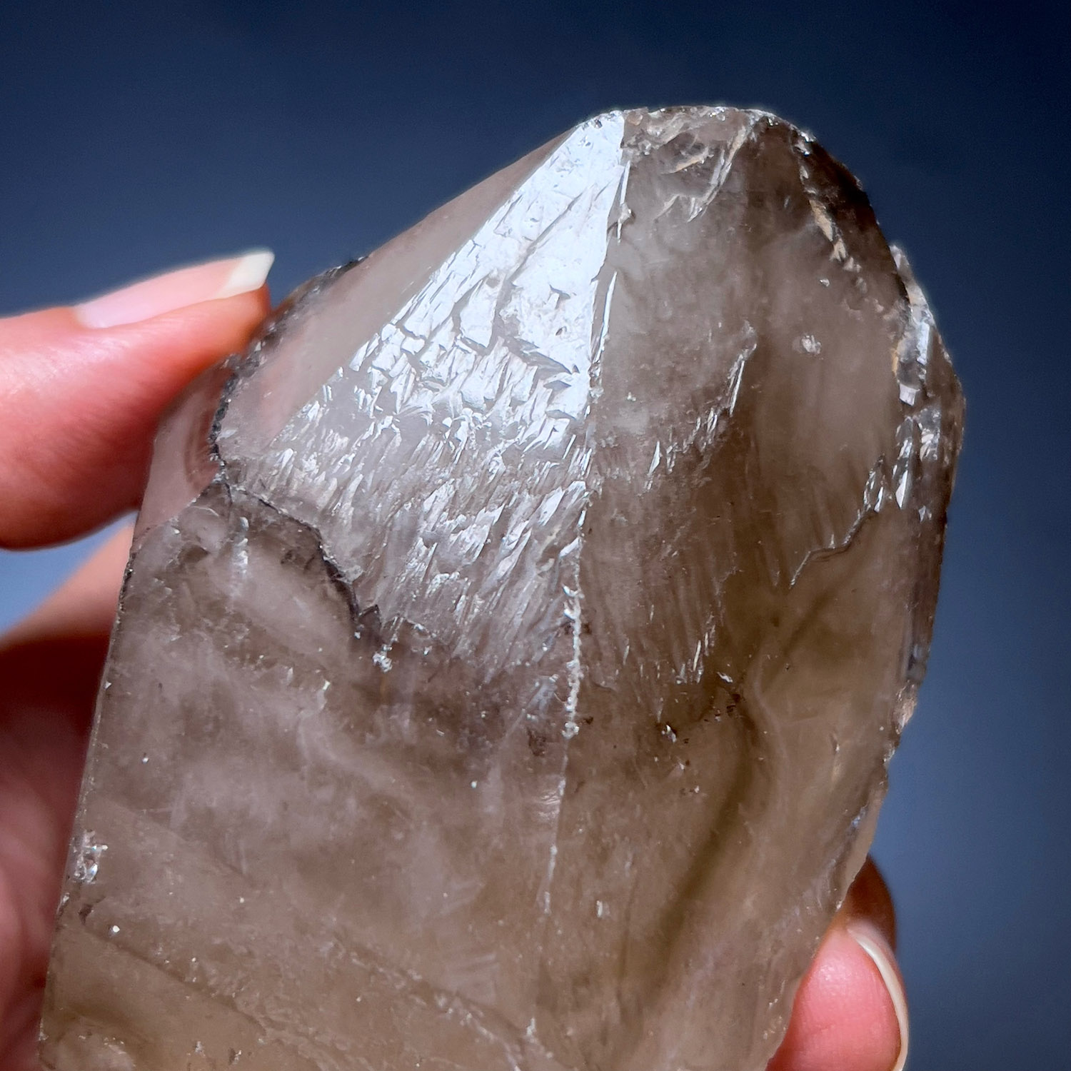 大師水晶 - 煙晶骸骨水晶 #資料庫水晶 219g (259-1) - Image 3