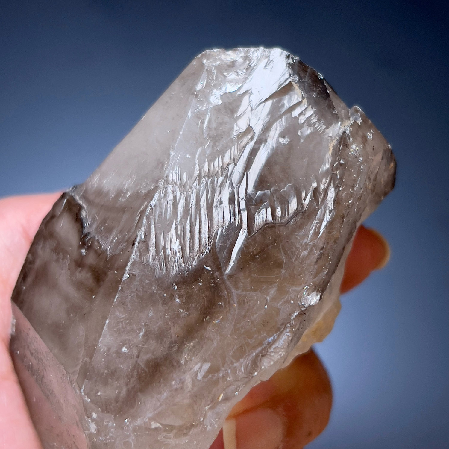 大師水晶 - 煙晶骸骨水晶 #資料庫水晶 219g (259-1) - Image 4