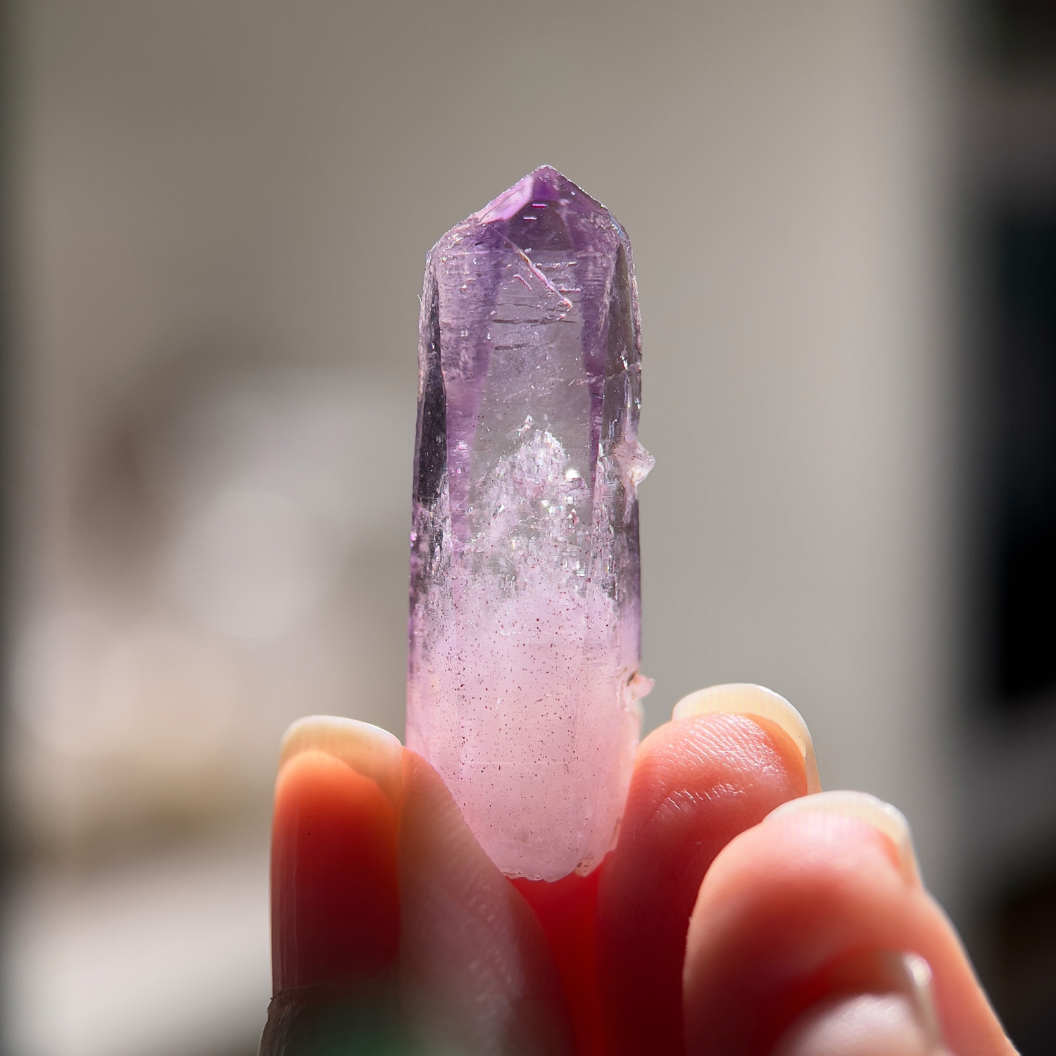 骸骨型幻影克魯茲紫水晶 (25a-19):圖片 2