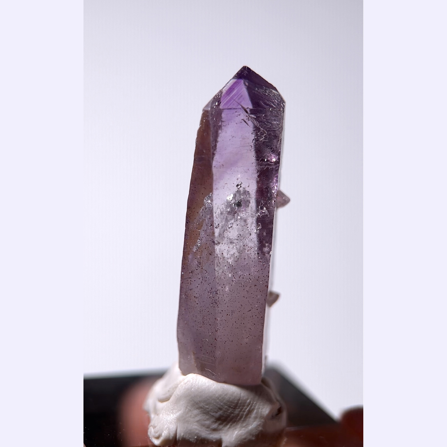 骸骨型幻影克魯茲紫水晶 (25a-19)