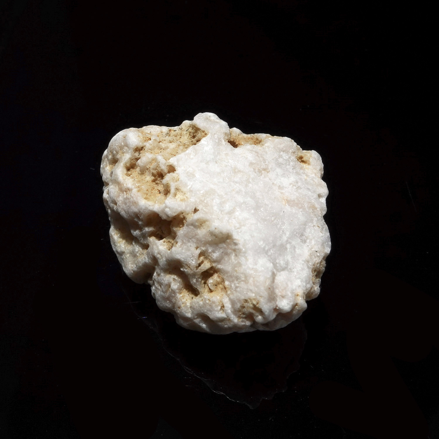 Sauralite 阿賽斯特萊 (20g-263-5)