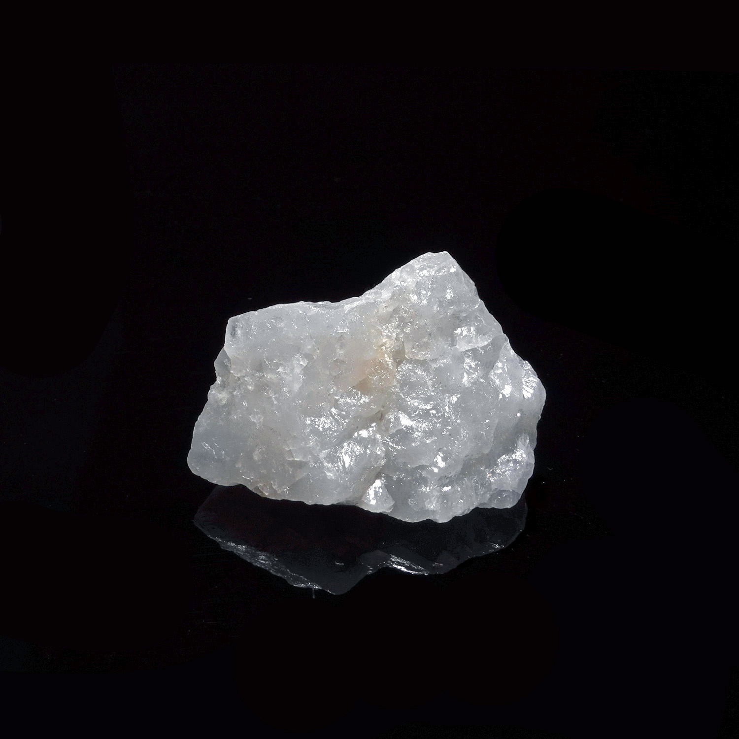 白色阿賽斯特萊 (12g-263-2)