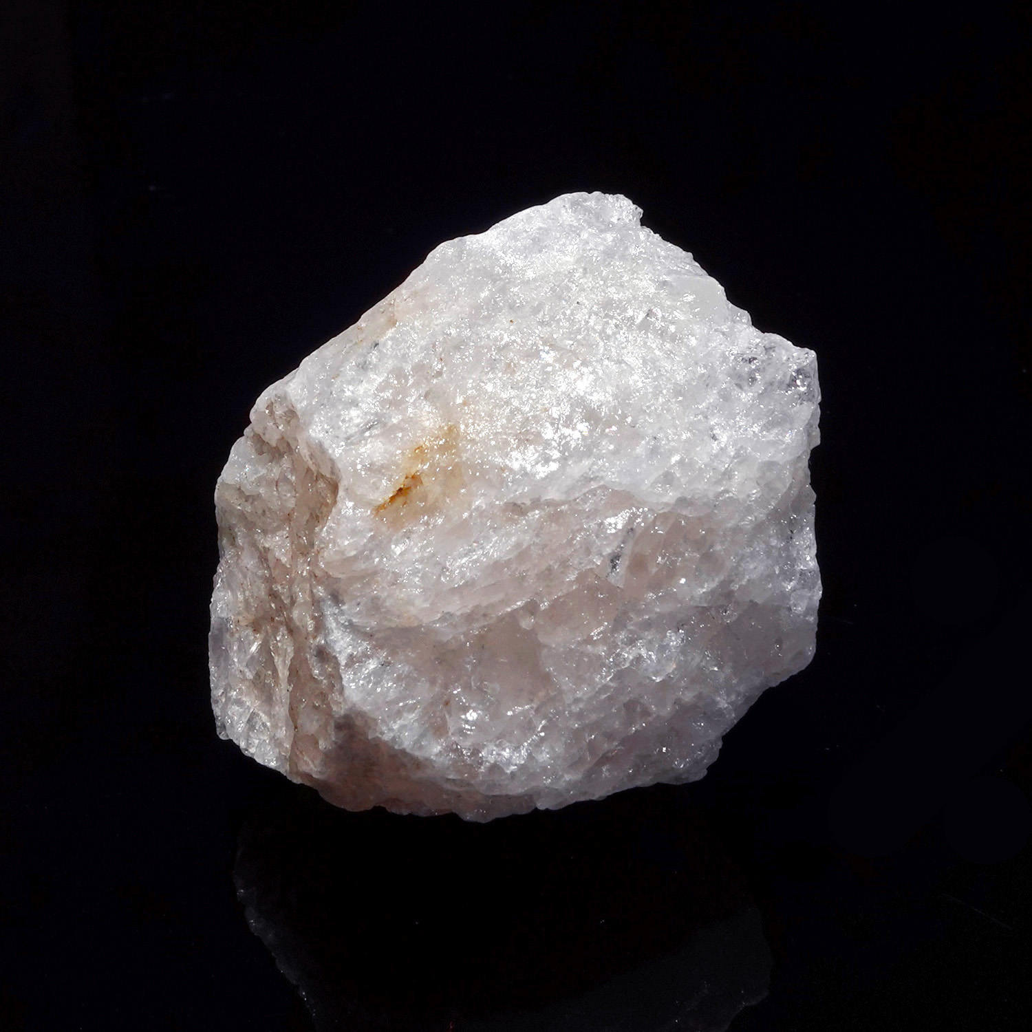 白色阿賽斯特萊 (37g-263-5)