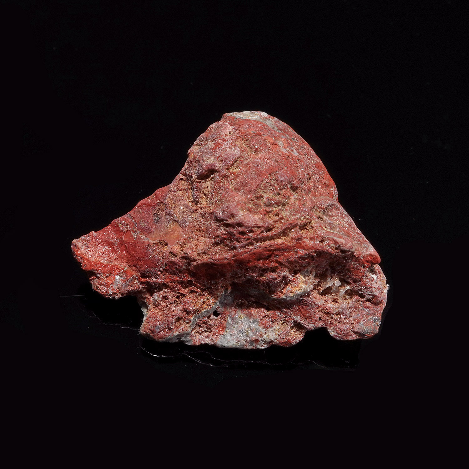 紅火阿賽斯特萊 20g (265-4)