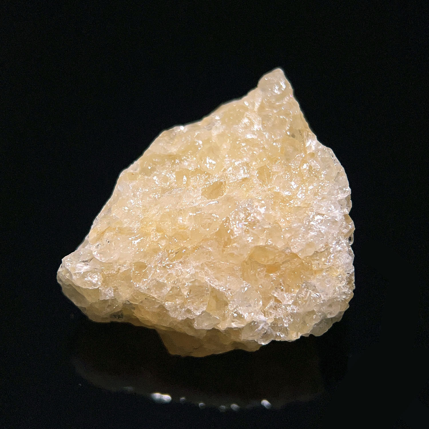 喜馬拉雅黃金阿賽斯特萊 33g (266-10)