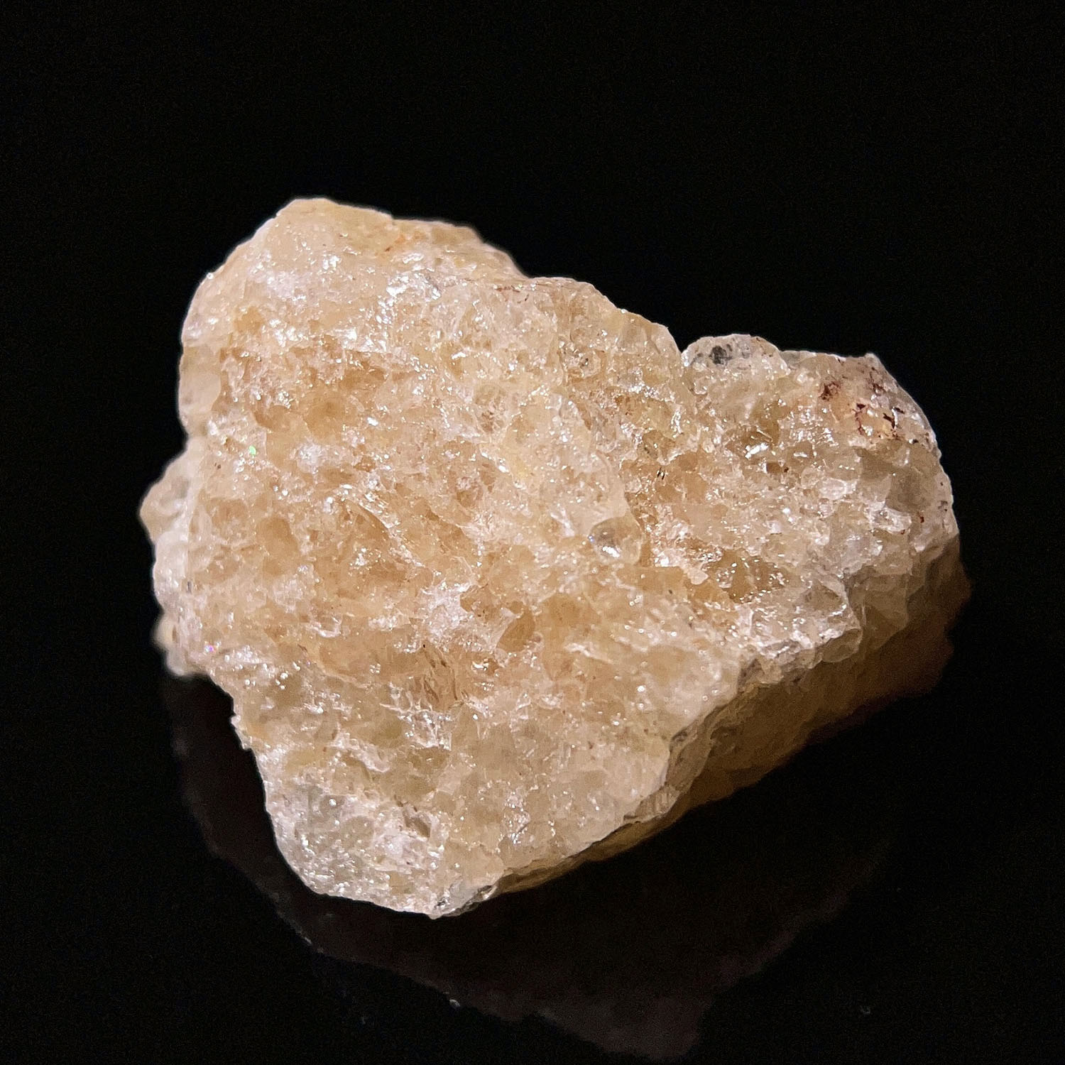 喜馬拉雅黃金阿賽斯特萊 36g (266-12)