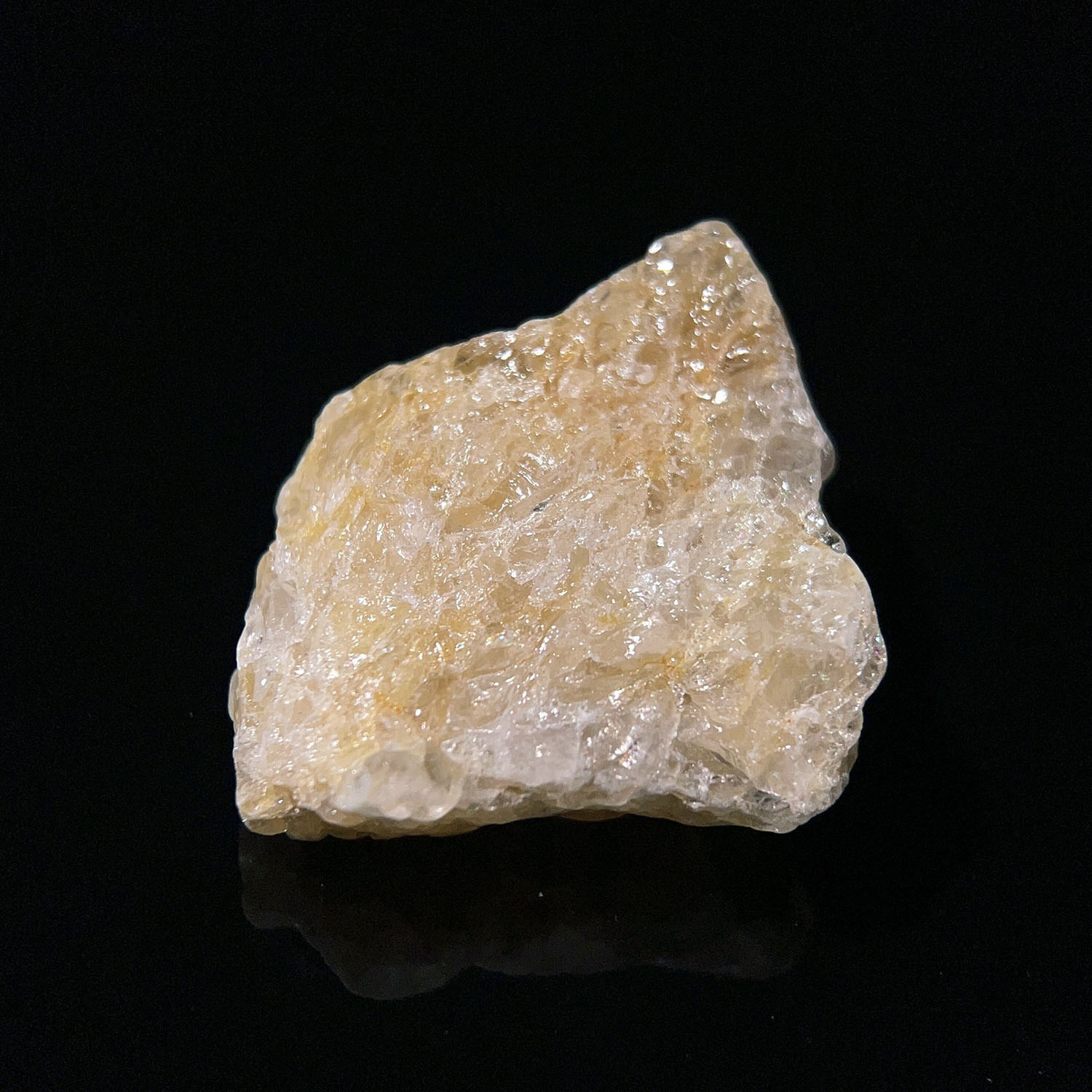 喜馬拉雅黃金阿賽斯特萊 23g (266-6)