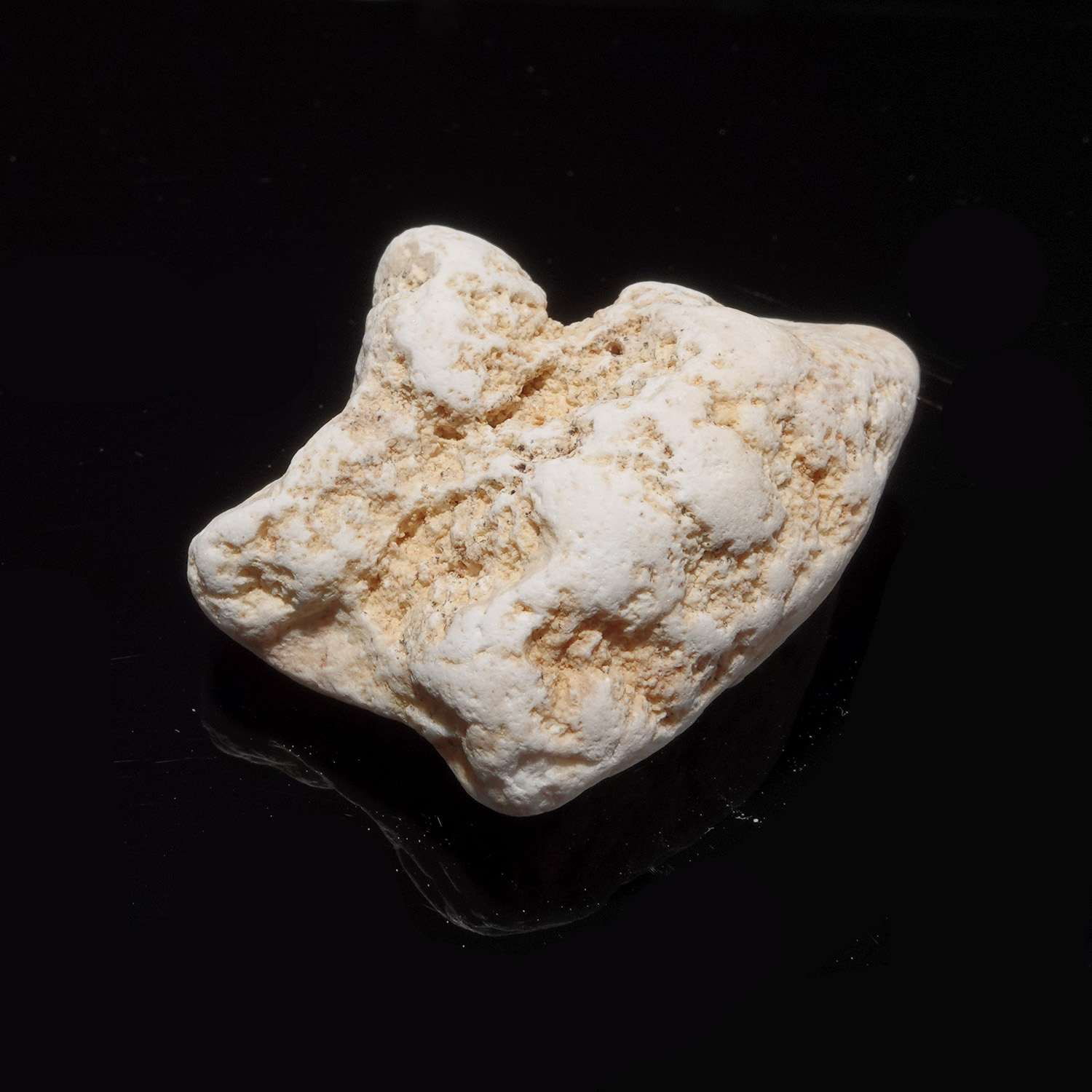 Sauralite 阿賽斯特萊 21g (269-7)