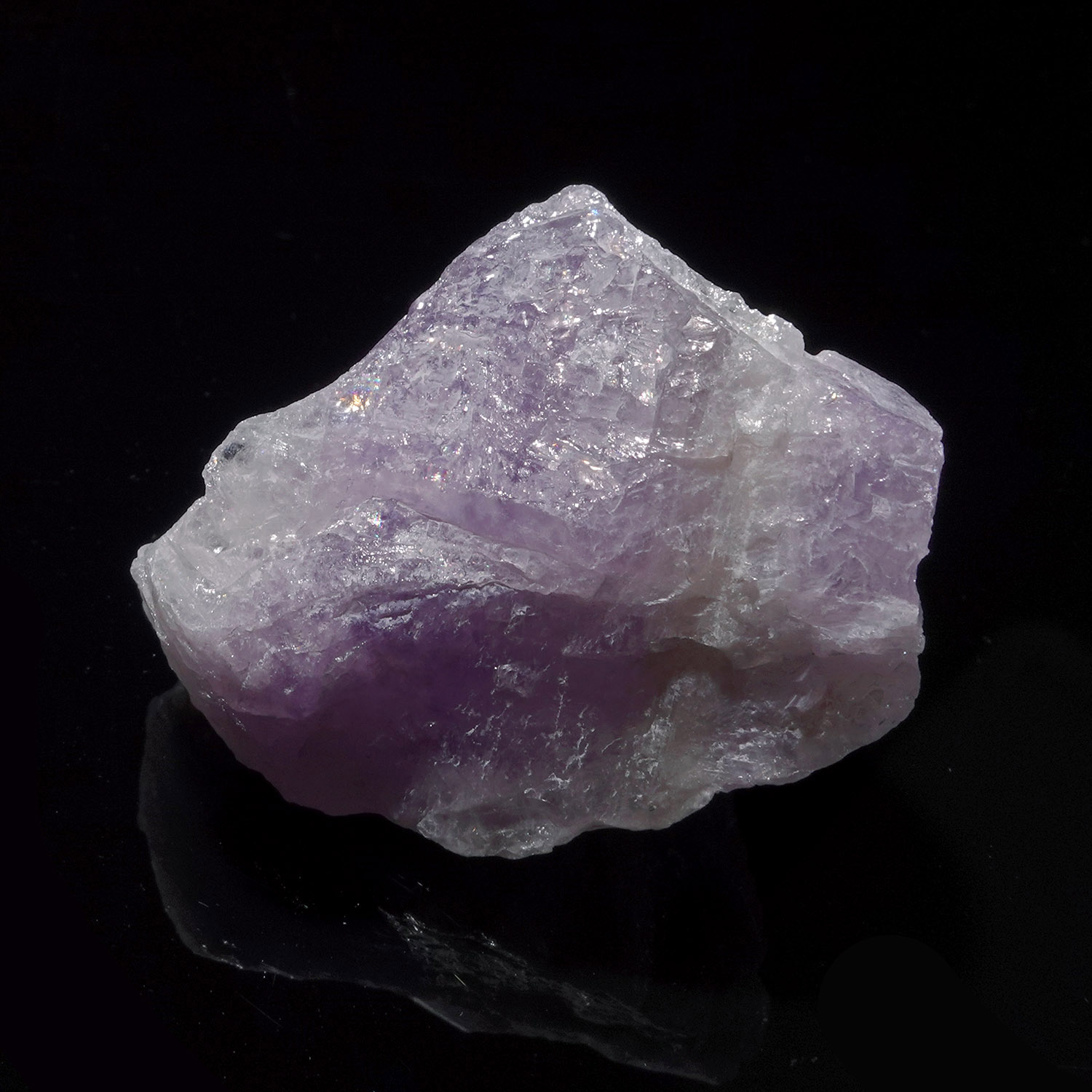 Amazez 阿賽斯特萊 30g (26a-7)
